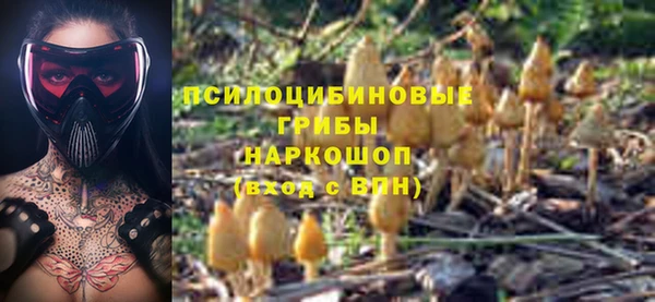 хмурый Киреевск