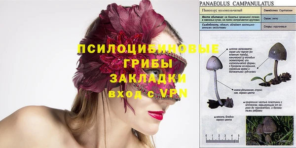 а пвп мука Кинешма