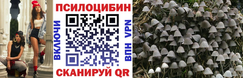Купить  Бежецк  Галлюциногенные грибы Magic Shrooms 